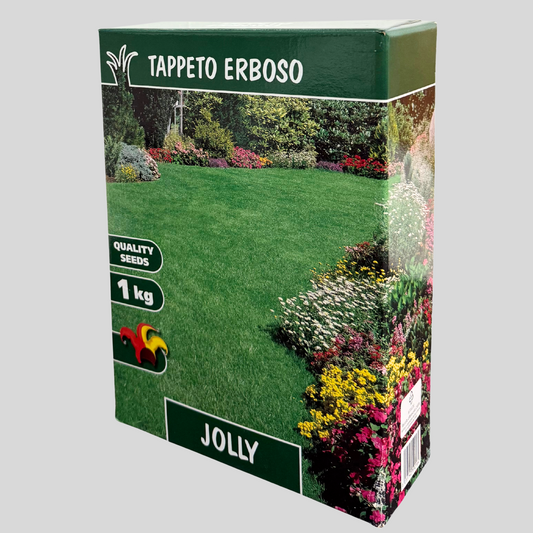 Ukrasna trava Jolly – 1 kg (do 40 m²) | Otporna na gaženje