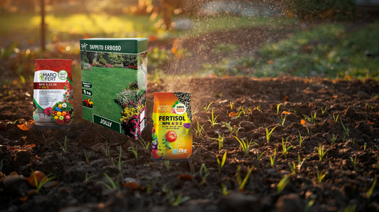 Kako uspješno posijati travu uz Marofert gnojivo?