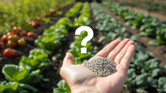 Vodič za gnojidbu povrtnjaka – praktičan priručnik za hobi-vrtlare