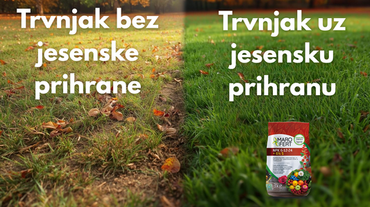 Zašto je važna jesenska prihrana travnjaka?